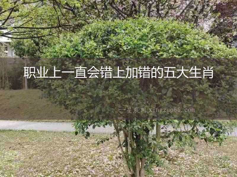 職業上一直會錯上加錯的五大生肖