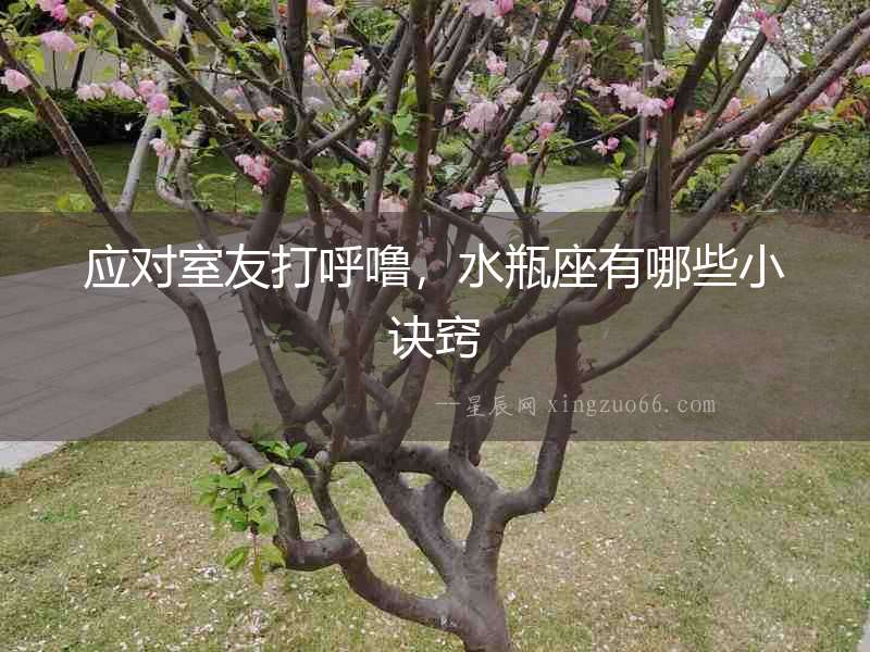 應(yīng)對(duì)室友打呼嚕，水瓶座有哪些小訣竅