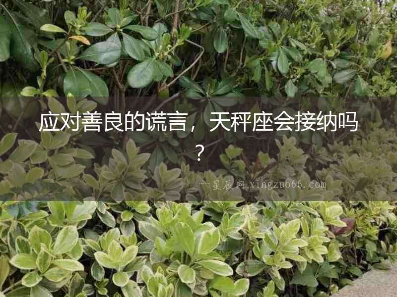 應(yīng)對(duì)善良的謊言，天秤座會(huì)接納嗎？