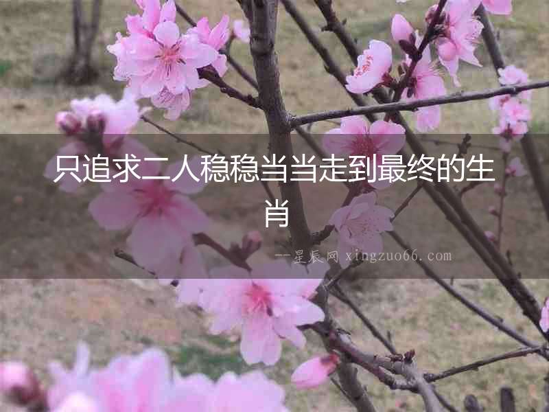 只追求二人穩(wěn)穩(wěn)當(dāng)當(dāng)走到最終的生肖