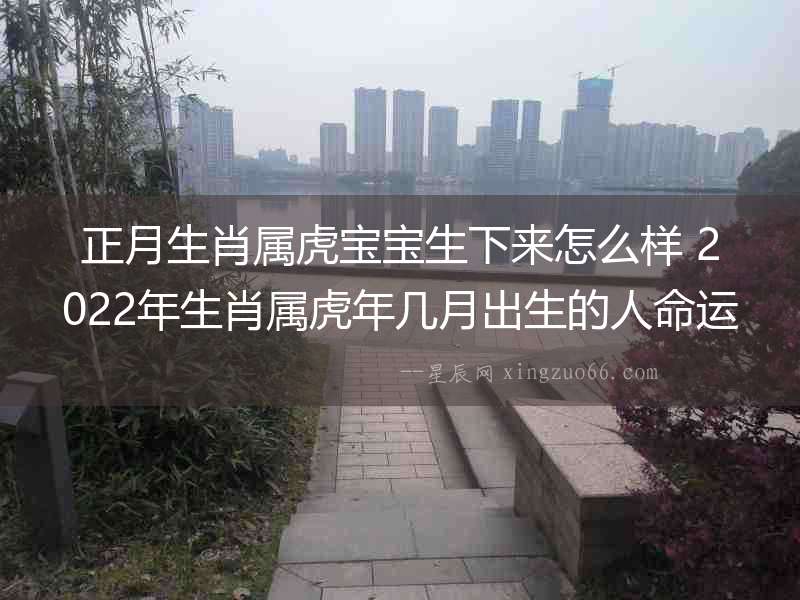 正月生肖屬虎寶寶生下來怎么樣 2022年生肖屬虎年幾月出生的人命運最好農歷