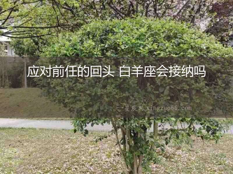 應(yīng)對(duì)前任的回頭 白羊座會(huì)接納嗎