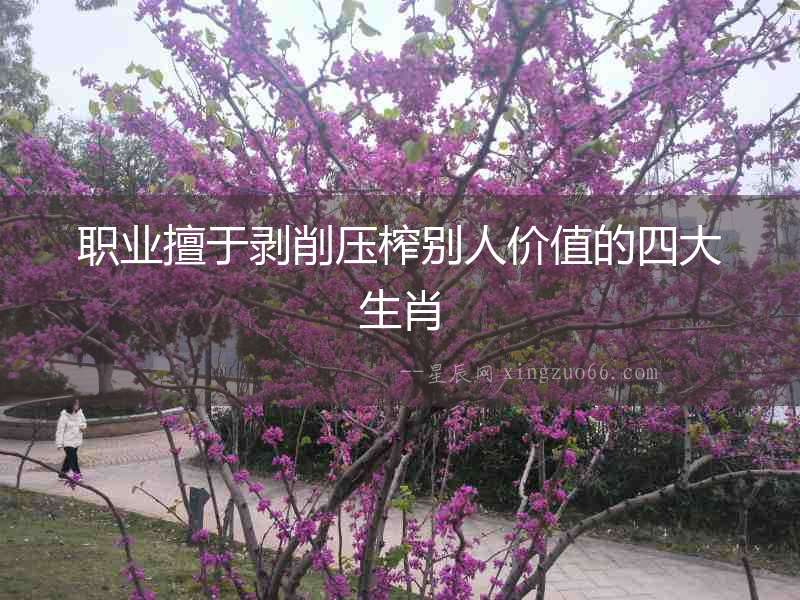 職業擅于剝削壓榨別人價值的四大生肖
