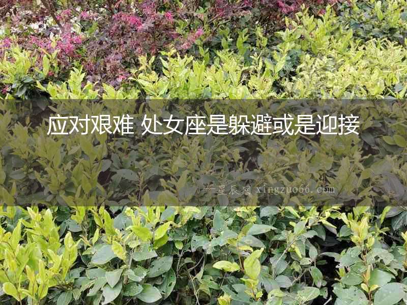 應(yīng)對艱難 處女座是躲避或是迎接