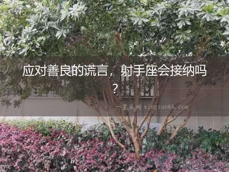 應(yīng)對(duì)善良的謊言，射手座會(huì)接納嗎？