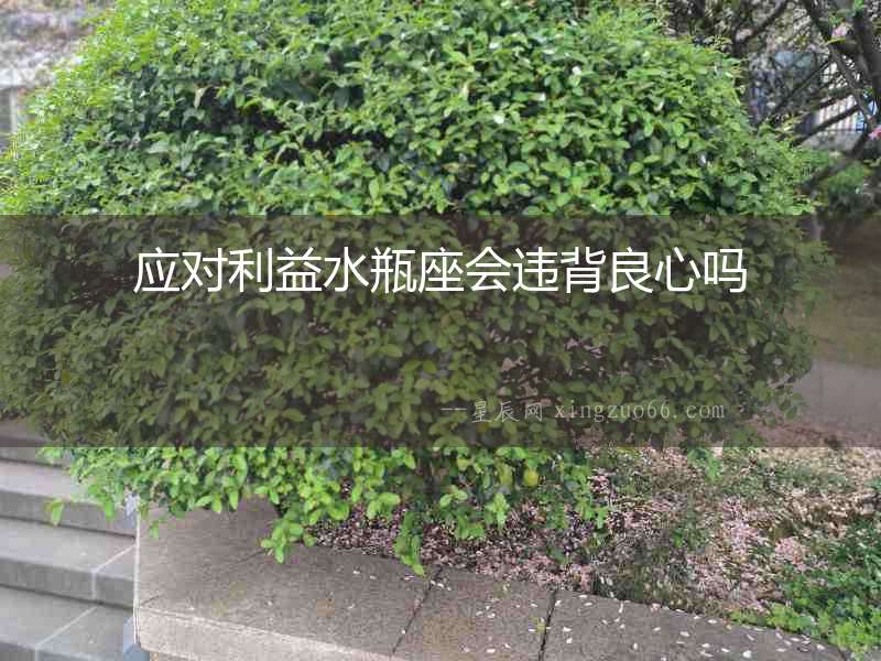 應對利益水瓶座會違背良心嗎