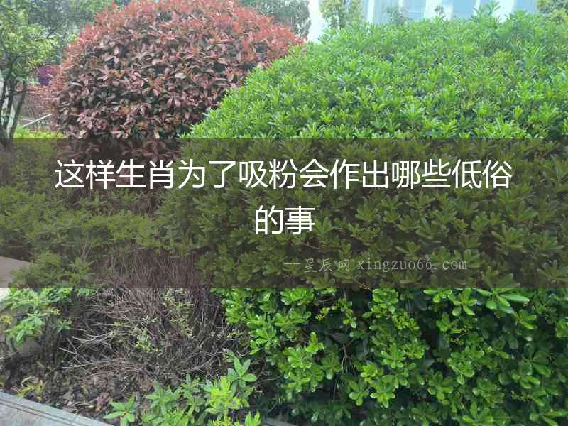 這樣生肖為了吸粉會作出哪些低俗的事