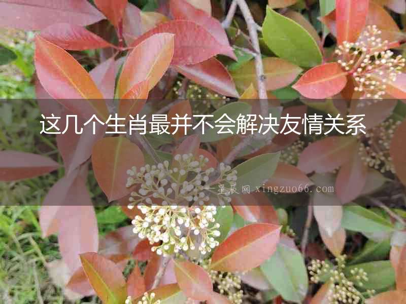 這幾個生肖最并不會解決友情關系
