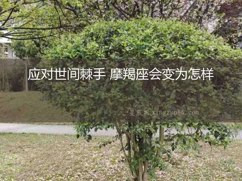 應(yīng)對(duì)世間棘手 摩羯座會(huì)變?yōu)樵鯓? alt=