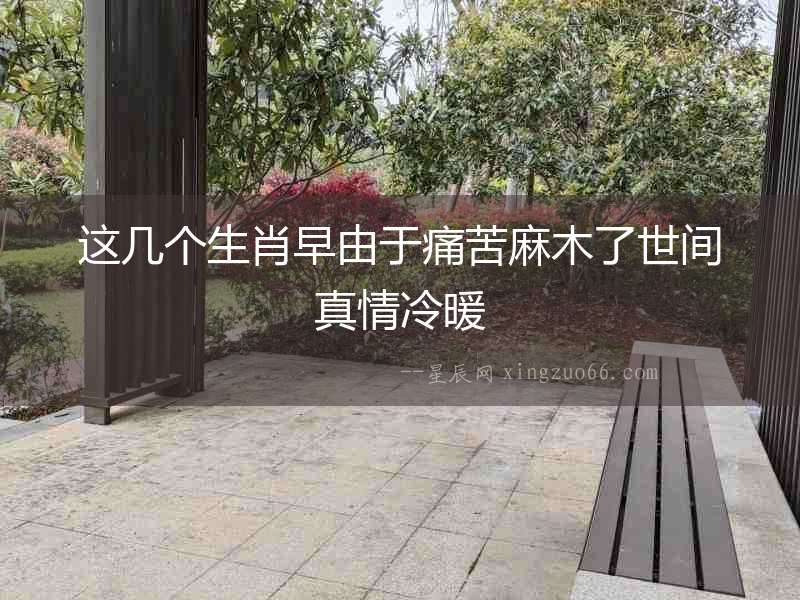 這幾個(gè)生肖早由于痛苦麻木了世間真情冷暖