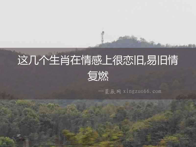 這幾個生肖在情感上很戀舊,易舊情復燃
