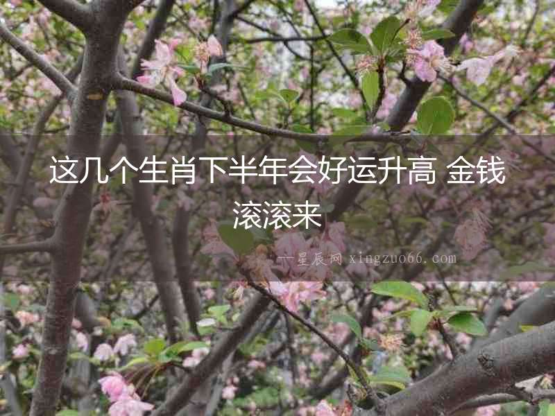 這幾個生肖下半年會好運升高 金錢滾滾來