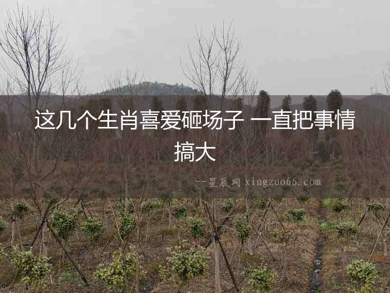 這幾個(gè)生肖喜愛砸場(chǎng)子 一直把事情搞大