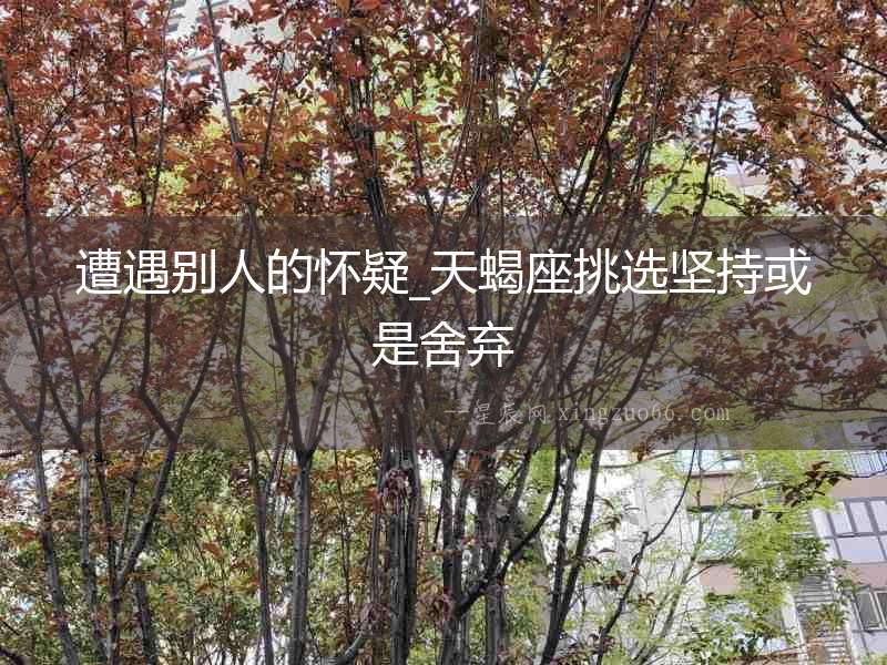 遭遇別人的懷疑_天蝎座挑選堅(jiān)持或是舍棄