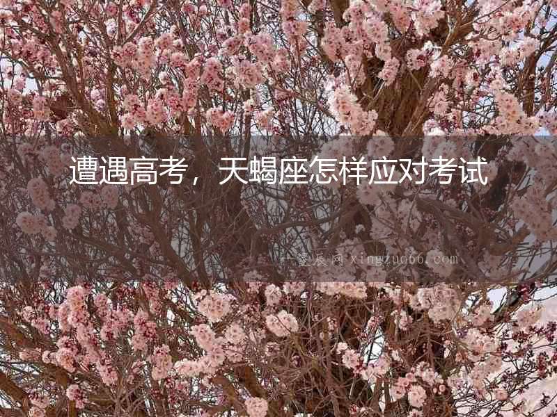 遭遇高考，天蝎座怎樣應(yīng)對考試