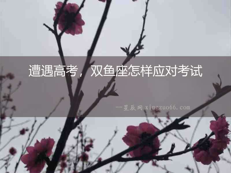 遭遇高考，雙魚座怎樣應(yīng)對考試
