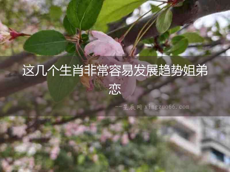 這幾個生肖非常容易發展趨勢姐弟戀