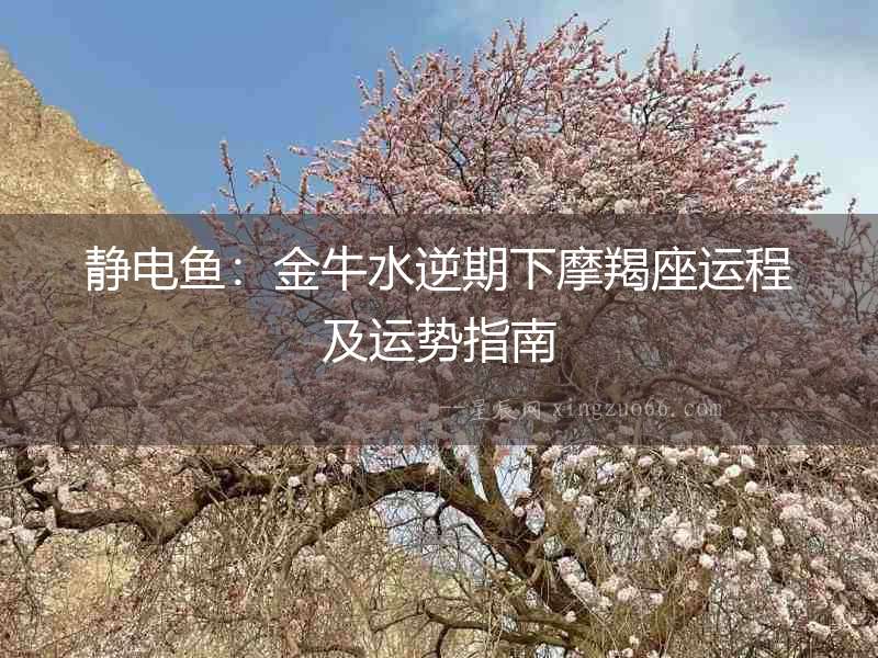 靜電魚：金牛水逆期下摩羯座運(yùn)程及運(yùn)勢指南