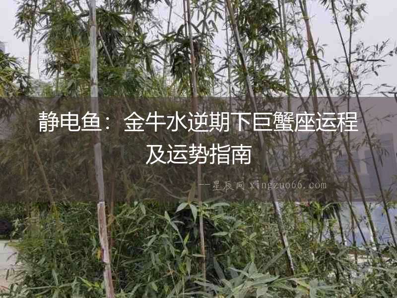 靜電魚(yú)：金牛水逆期下巨蟹座運(yùn)程及運(yùn)勢(shì)指南