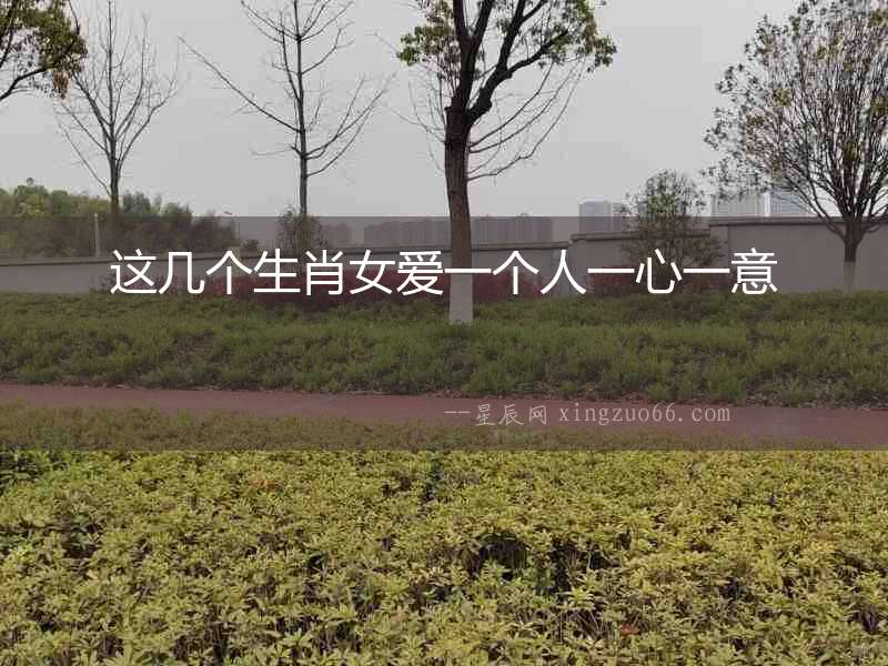 這幾個(gè)生肖女愛一個(gè)人一心一意