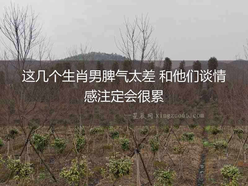 這幾個(gè)生肖男脾氣太差 和他們談情感注定會(huì)很累