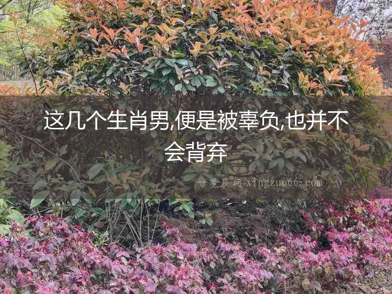 這幾個生肖男,便是被辜負,也并不會背棄