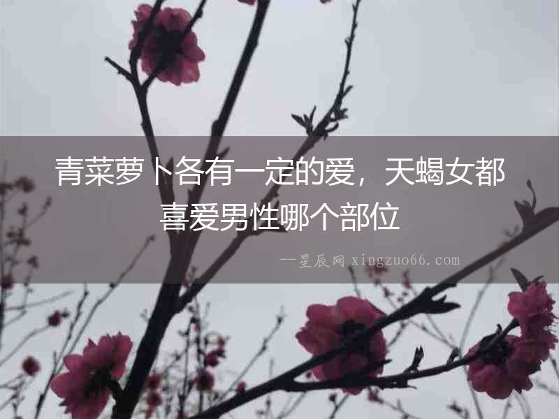 青菜蘿卜各有一定的愛，天蝎女都喜愛男性哪個部位