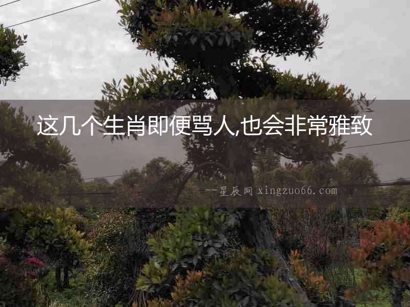 這幾個生肖即便罵人,也會非常雅致