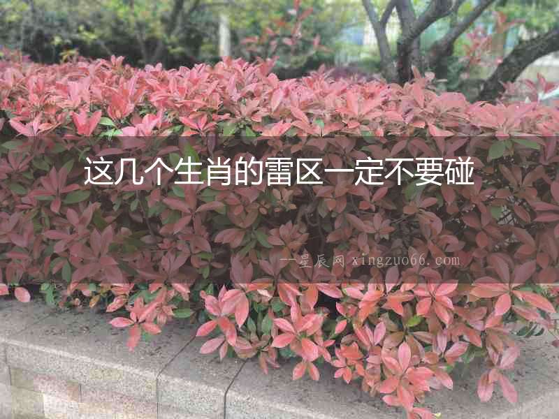 這幾個(gè)生肖的雷區(qū)一定不要碰