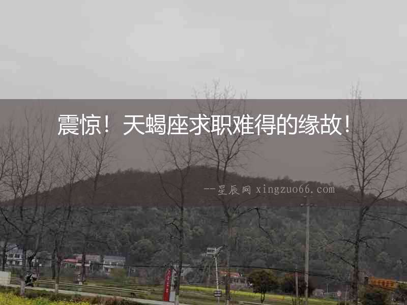 震驚！天蝎座求職難得的緣故！