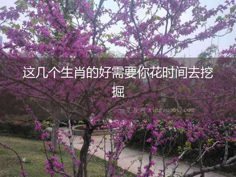 這幾個生肖的好需要你花時間去挖掘