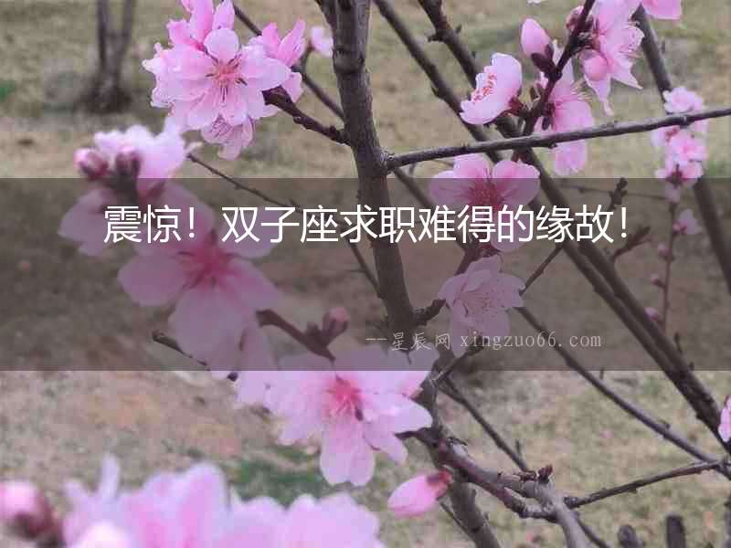 震驚！雙子座求職難得的緣故！