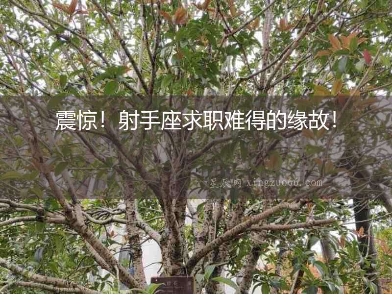 震驚！射手座求職難得的緣故！