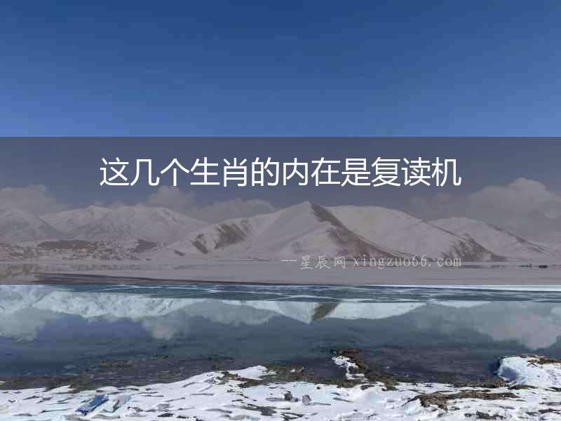 這幾個生肖的內在是復讀機