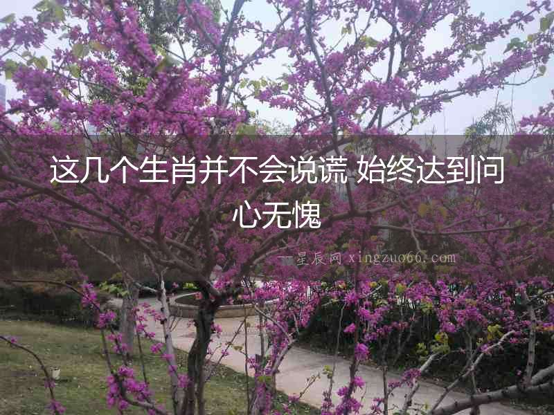 這幾個(gè)生肖并不會(huì)說(shuō)謊 始終達(dá)到問(wèn)心無(wú)愧