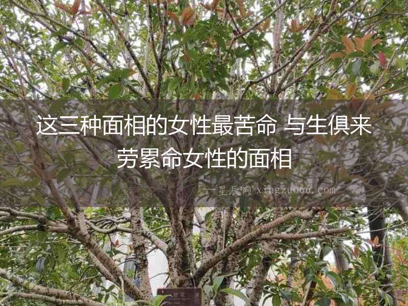 這三種面相的女性最苦命 與生俱來(lái)勞累命女性的面相