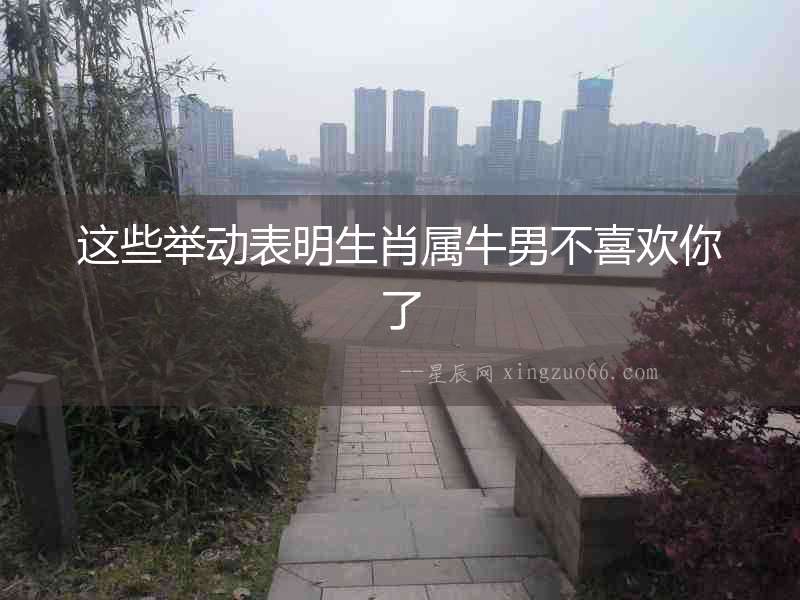 這些舉動表明生肖屬牛男不喜歡你了