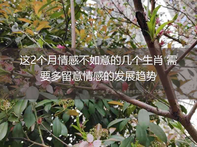 這2個月情感不如意的幾個生肖 需要多留意情感的發展趨勢