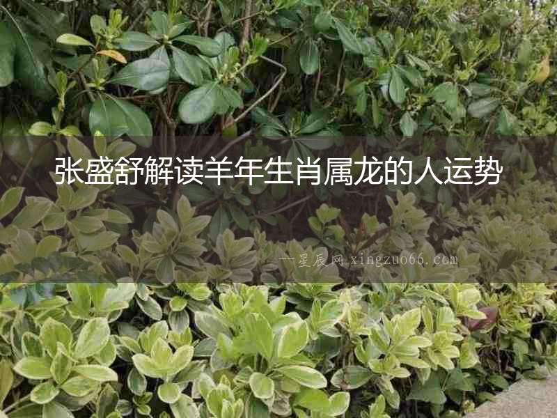張盛舒解讀羊年生肖屬龍的人運(yùn)勢