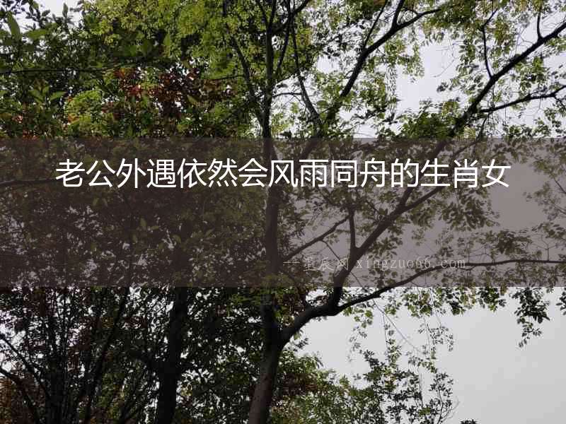 老公外遇依然會風(fēng)雨同舟的生肖女