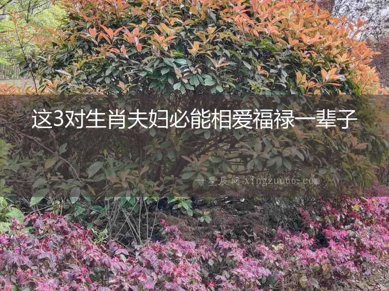 這3對(duì)生肖夫婦必能相愛(ài)福祿一輩子