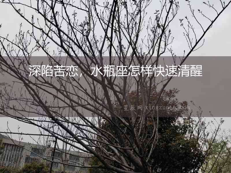 深陷苦戀，水瓶座怎樣快速清醒