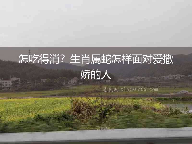 怎吃得消？生肖屬蛇怎樣面對愛撒嬌的人