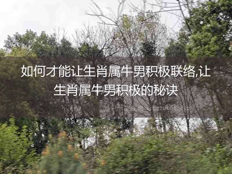 如何才能讓生肖屬牛男積極聯絡,讓生肖屬牛男積極的秘訣