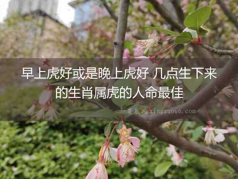 早上虎好或是晚上虎好 幾點(diǎn)生下來(lái)的生肖屬虎的人命最佳