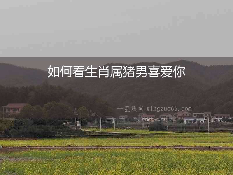 如何看生肖屬豬男喜愛你