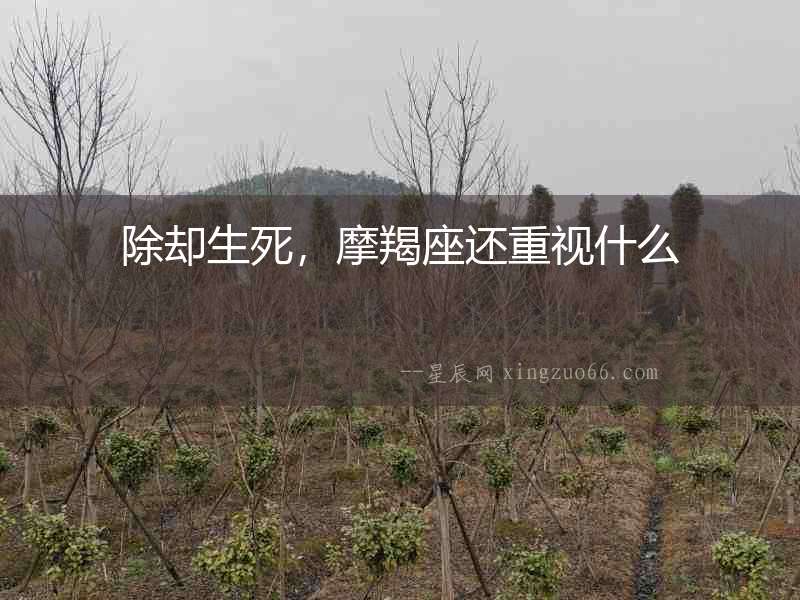 除卻生死，摩羯座還重視什么