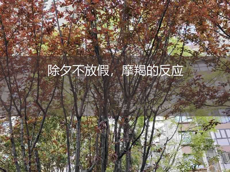 除夕不放假，摩羯的反應(yīng)