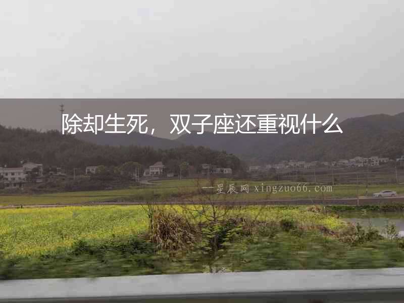 除卻生死，雙子座還重視什么