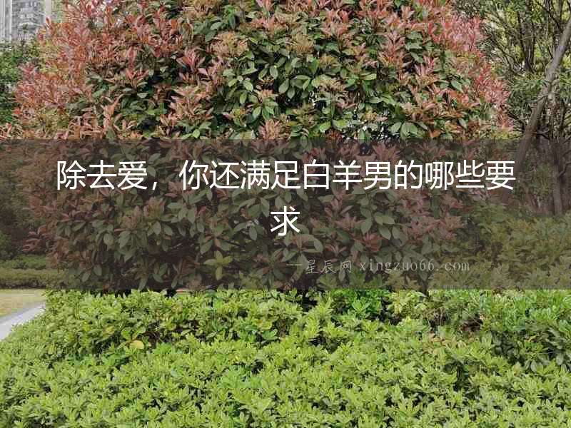 除去愛，你還滿足白羊男的哪些要求